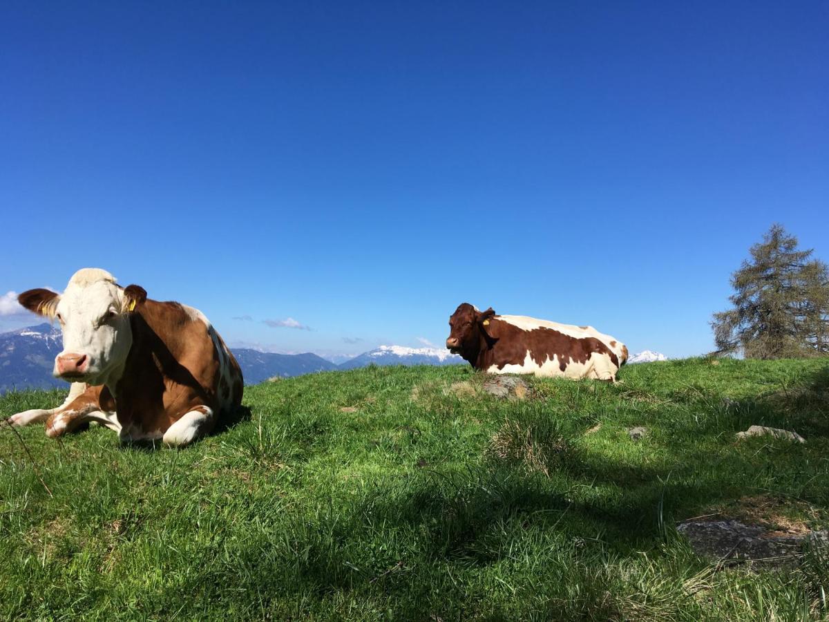 Appartement Brettljause Ferienhaus Fuenf Sinne Döbriach Esterno foto
